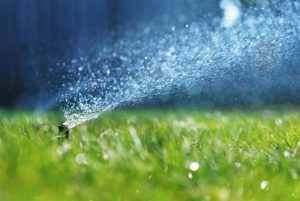 Sprinkler_Irrigation_Equipment_Water_Drinking_Water_Grass-sm